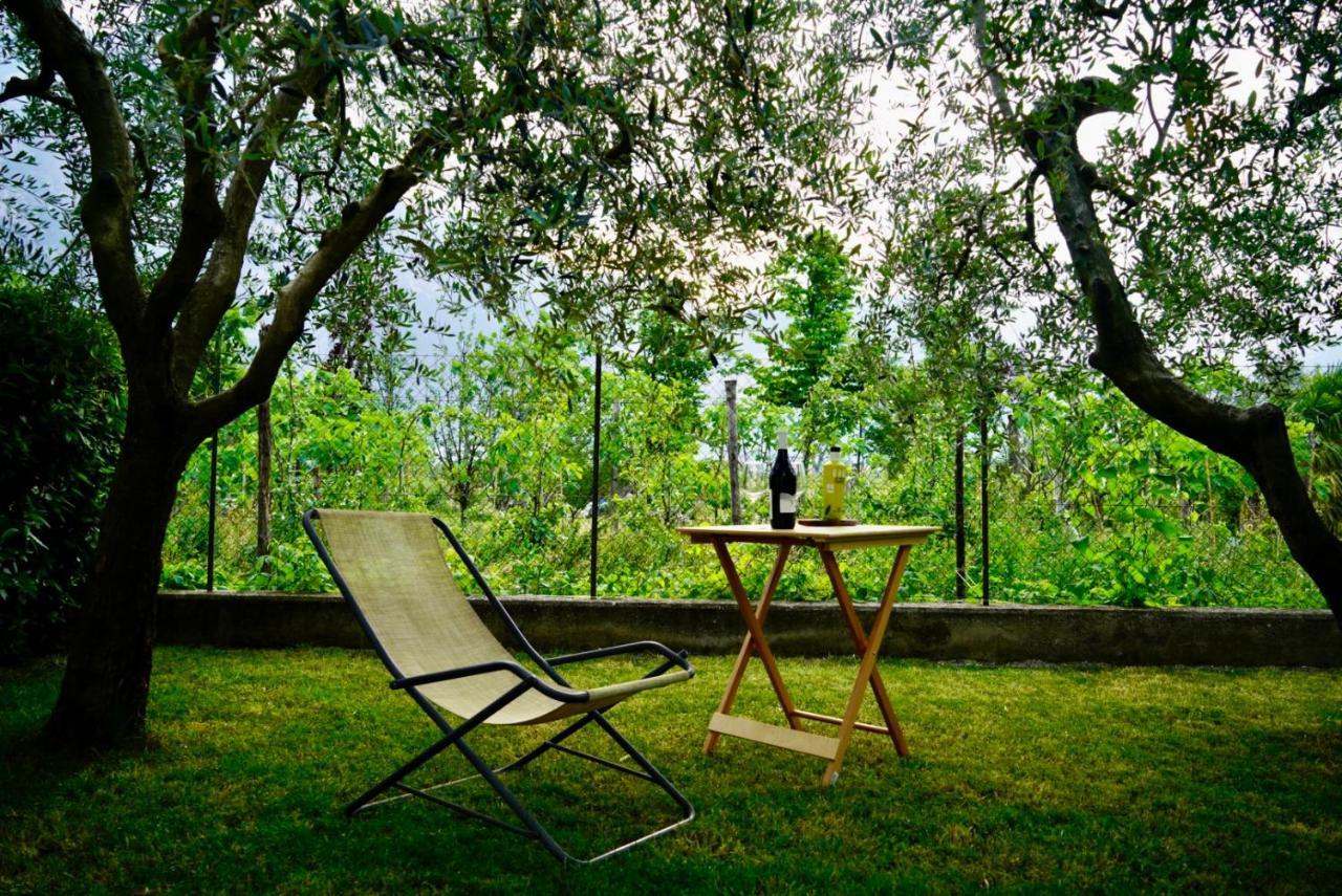 Lake & Rest Riva del Garda Buitenkant foto